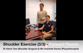 Shoulder Exercise 3 - Forward Flexion